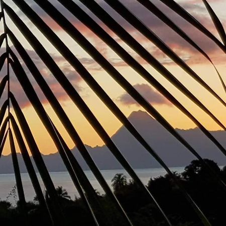 Le Tiki Rouge Villa Punaauia  Luaran gambar
