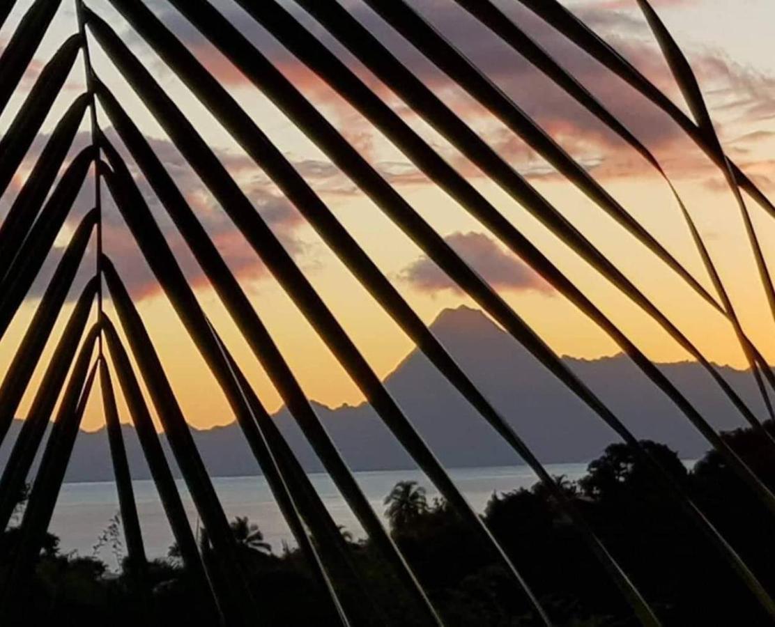 Le Tiki Rouge Villa Punaauia  Luaran gambar